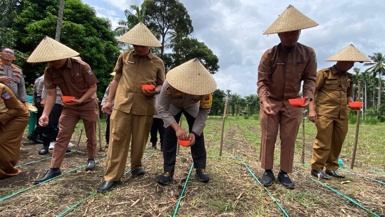 Program Ketahanan Pangan, Polres Pasaman Barat Gelar Penanaman Jagung Secara Serentak Seluruh Indonesia