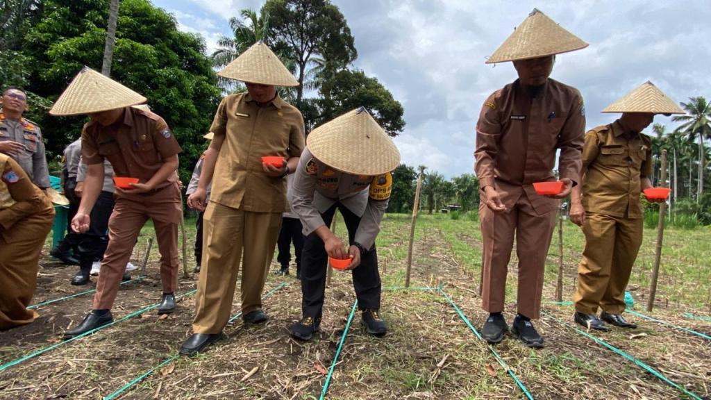 Program Ketahanan Pangan, Polres Pasaman Barat Gelar Penanaman Jagung Secara Serentak Seluruh&nbsp;Indonesia