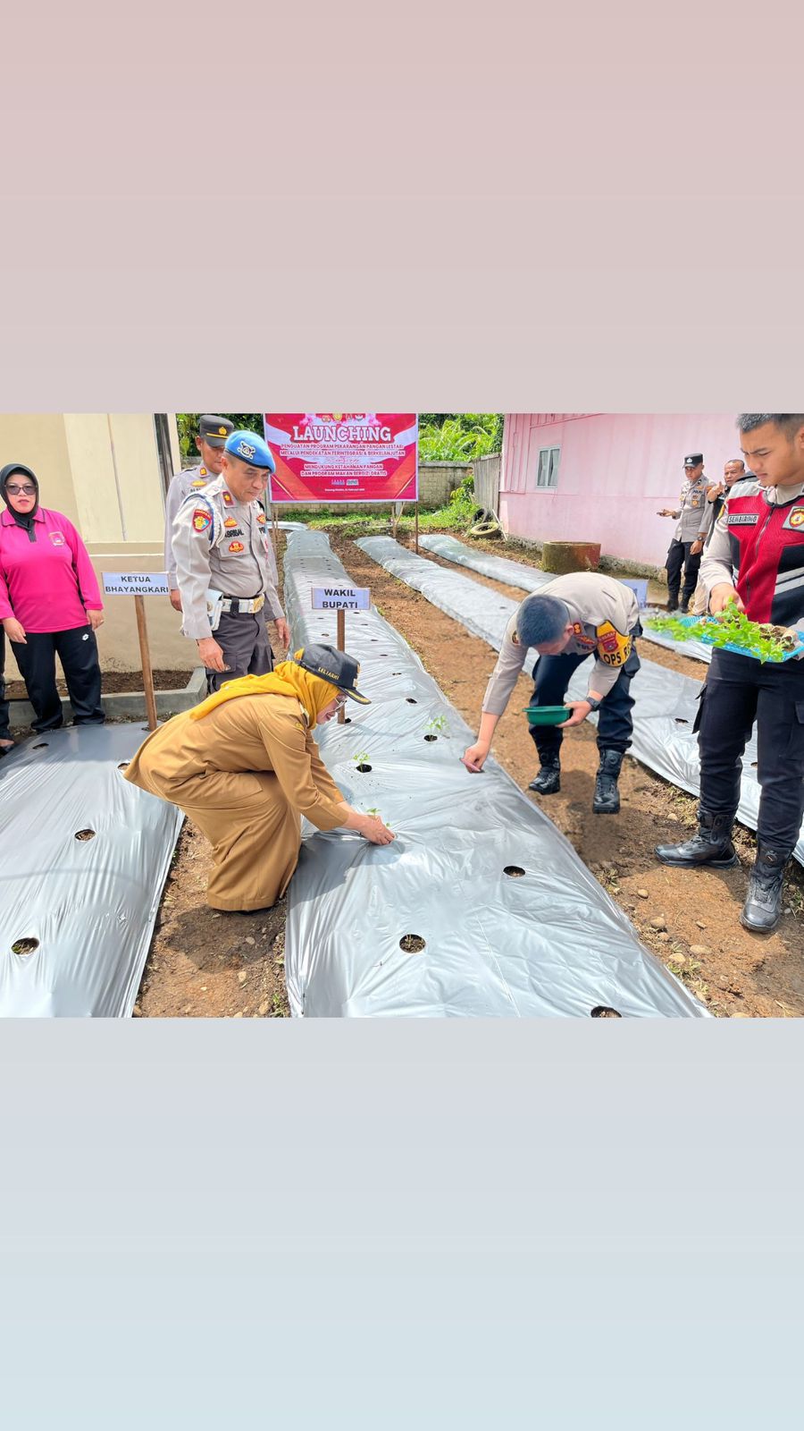 Polres Dharmasraya Luncurkan Program Pekarangan Pangan&nbsp;Lestari