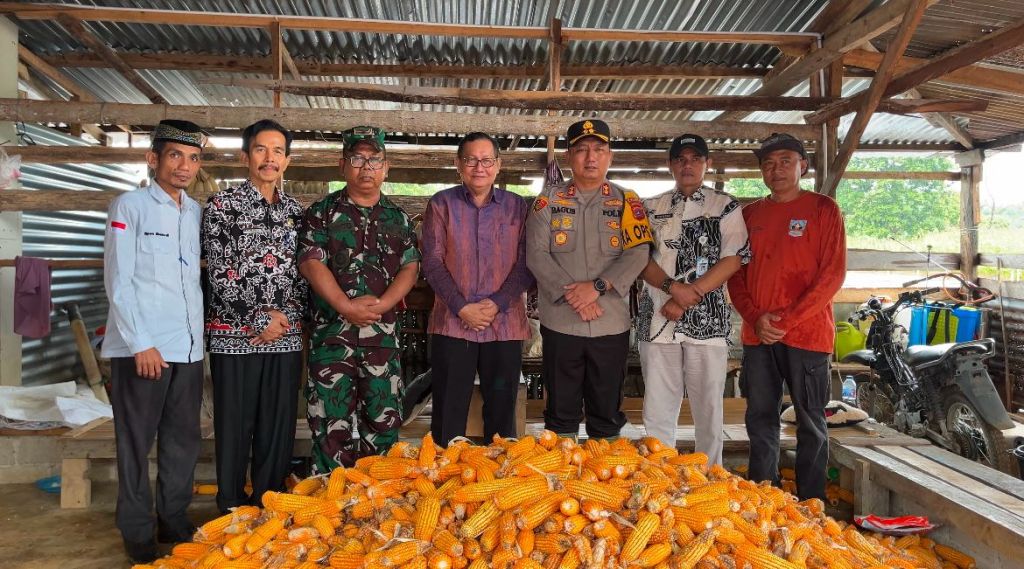 Kapolres Dharmasraya Pimpin Panen Jagung Serentak Tahap I dalam Rangka Mendukung Ketahanan Pangan&nbsp;Polri