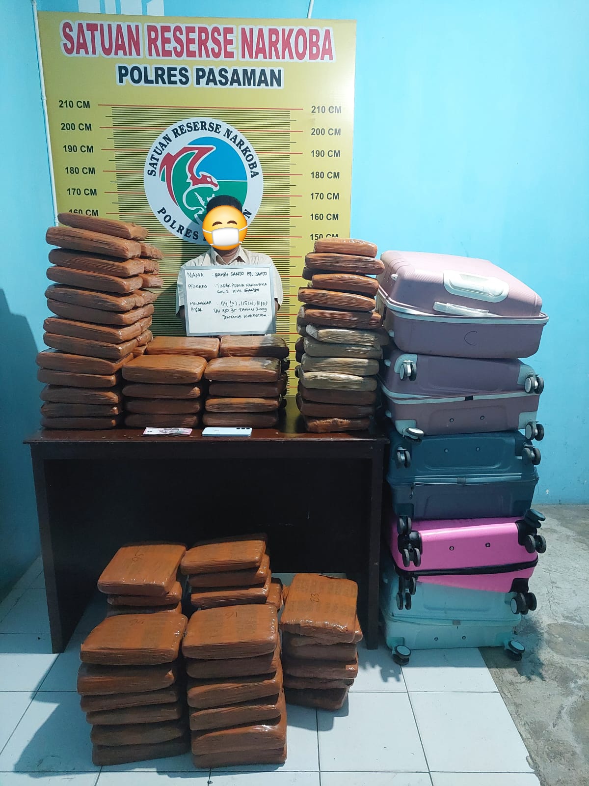 Polres Pasaman Tangkap Kurir Narkotika Jenis Ganja, 100 Kg disita