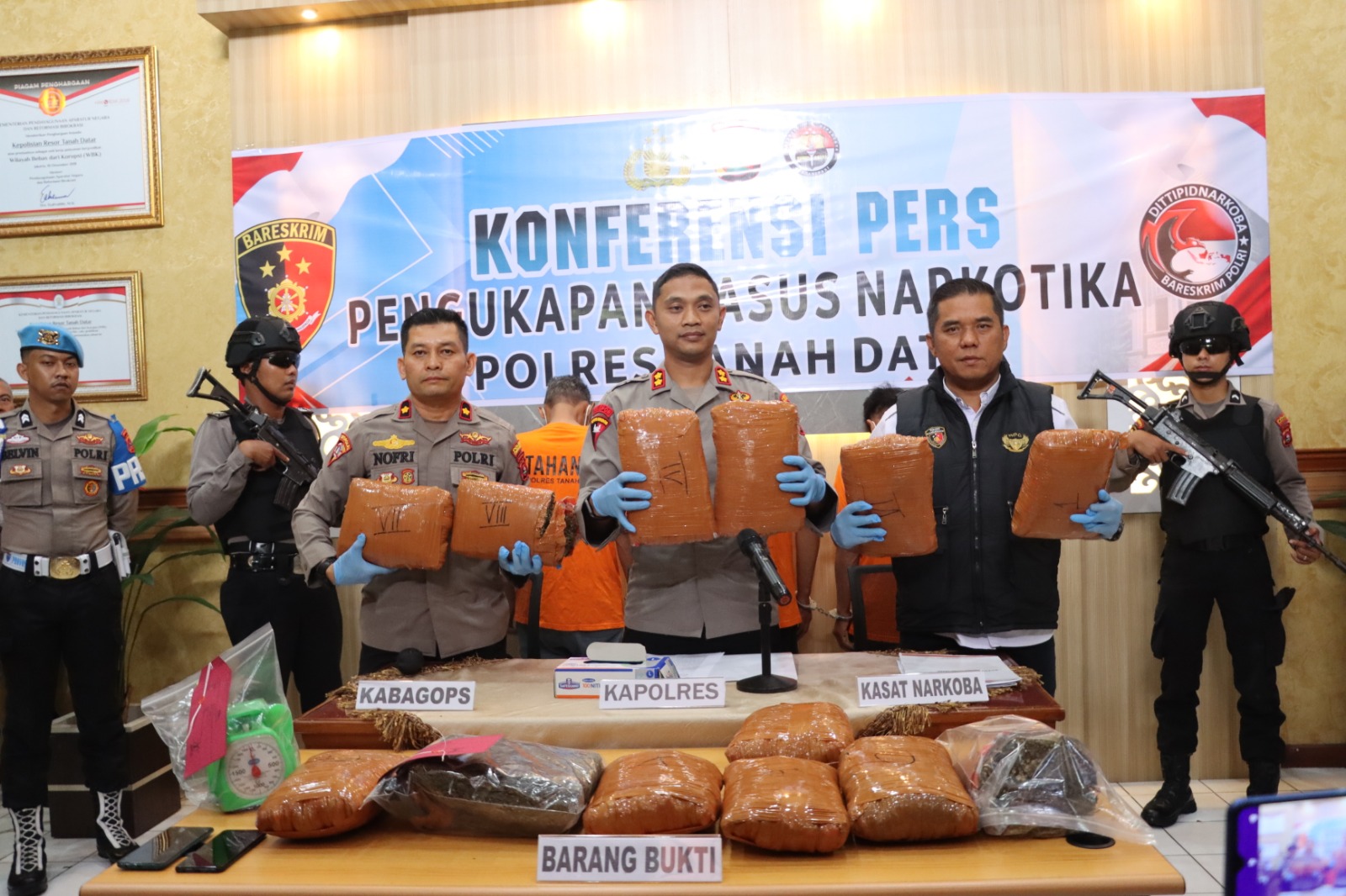 Polres Tanah Datar Ungkap Kasus Penyalahgunaan Narkoba, Amankan 13 Kg Ganja