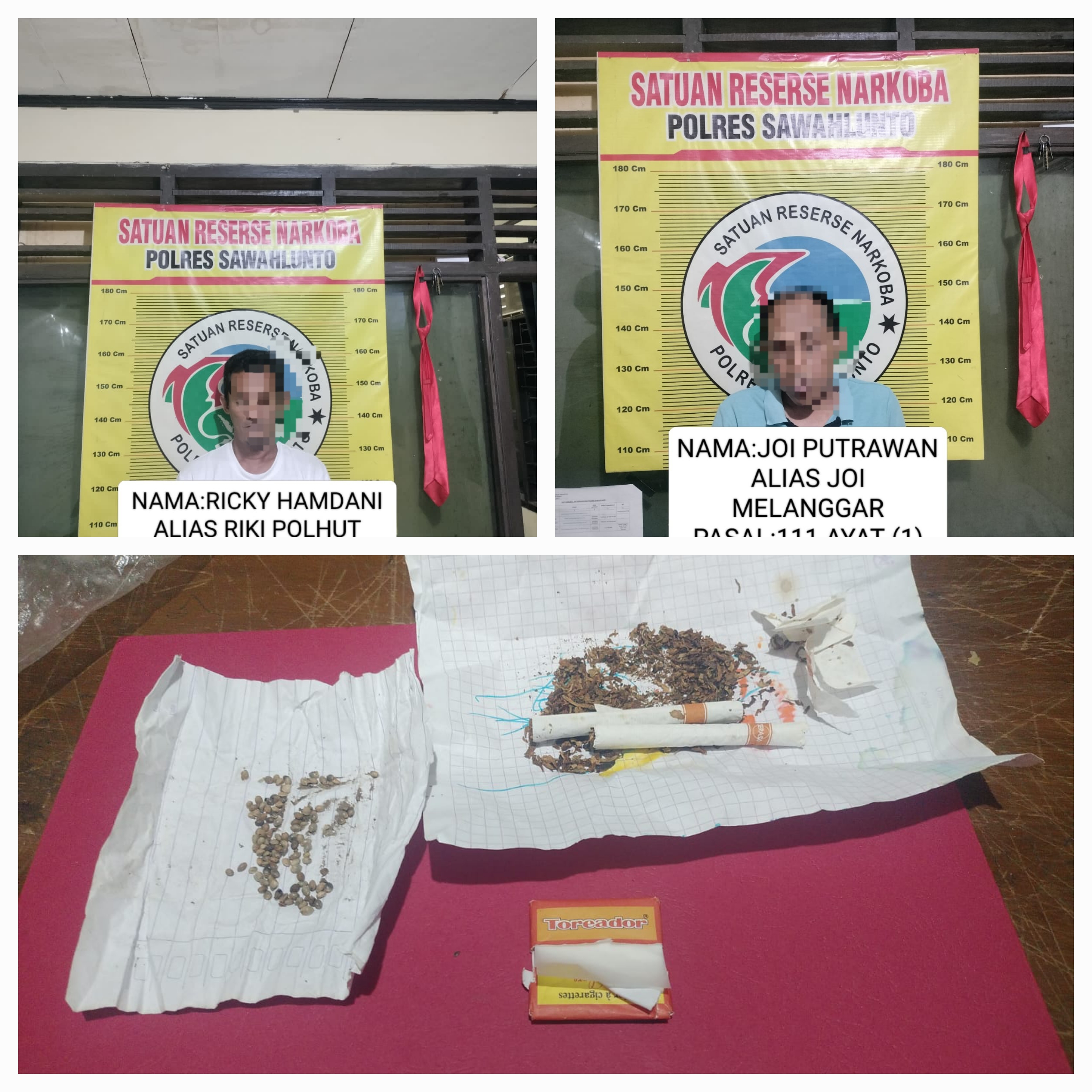 Dua Pria Dewasa Diciduk Satresnarkoba Polres Sawahlunto, Diduga Terlibat Penyalahgunaan Narkotika Jenis Ganja