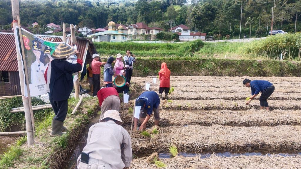 Dukung Program Asta Cita Presiden Dan Jaga Kamtibmas Bhabinkamtibmas Bantu&nbsp;&nbsp; Warga Tanam Benih&nbsp;Padi