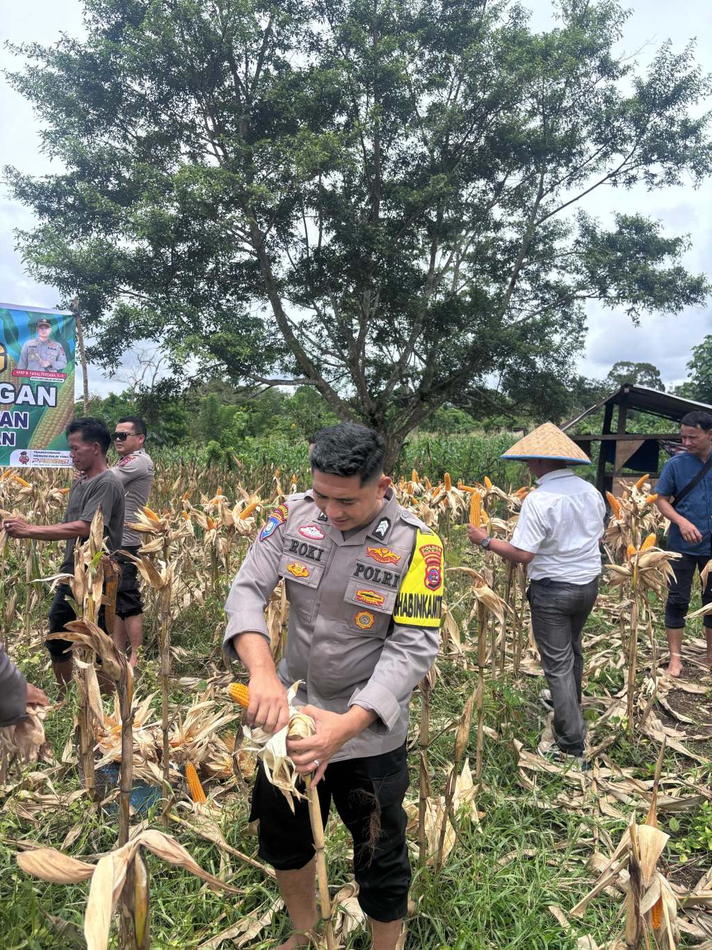 Dari Seragam ke Cangkul: Ketahanan Pangan Prabowo Mekar di Tanah Sangir&nbsp;Jujuan”