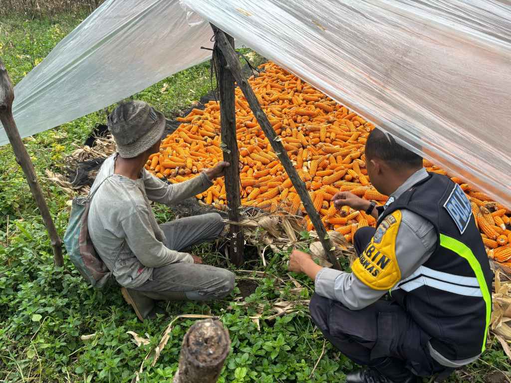 Dekat dengan Warga, Bhabinkamtibmas Polsek Sangir Dukung Ketahanan Pangan Lewat Sambang&nbsp;Humanis