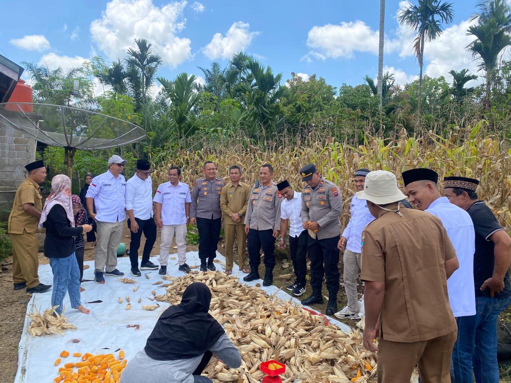 Dukung Ketahanan Pangan Menuju Indonesia Emas 2045,&nbsp; Kapolres Dharmasraya Panen Jagung Bersama&nbsp;KWT