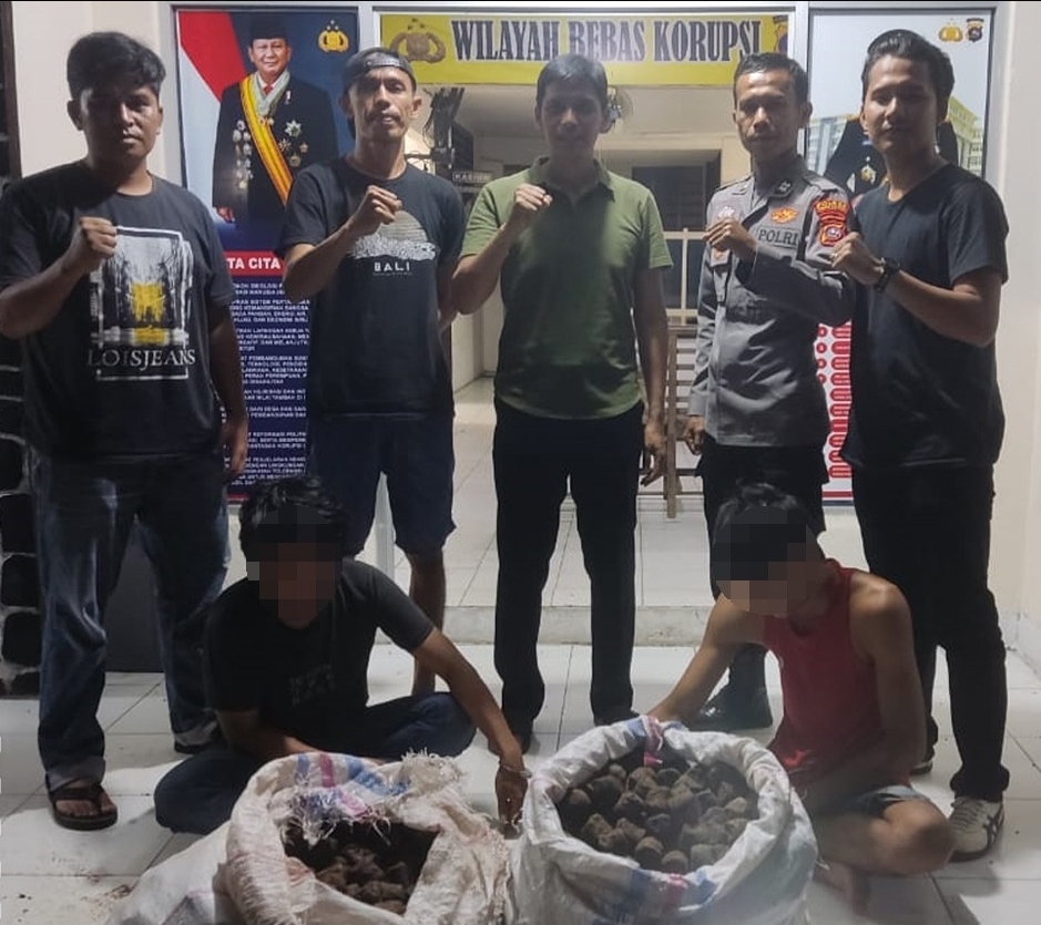 Polsek Lengayang Tangkap Dua Tersangka Pencuri Getah Gambir.