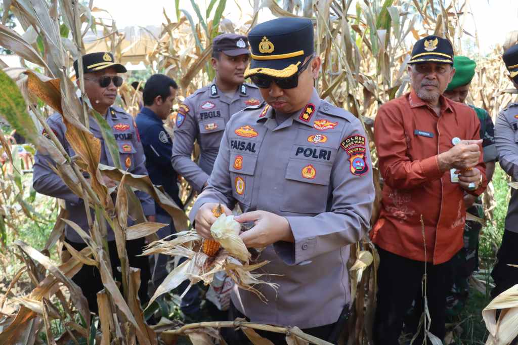 Kapolres Solok Selatan Ikut Panen Raya Jagung Bareng Presiden Prabowo: Dorong Ketahanan Pangan Lewat Aksi&nbsp;Nyata