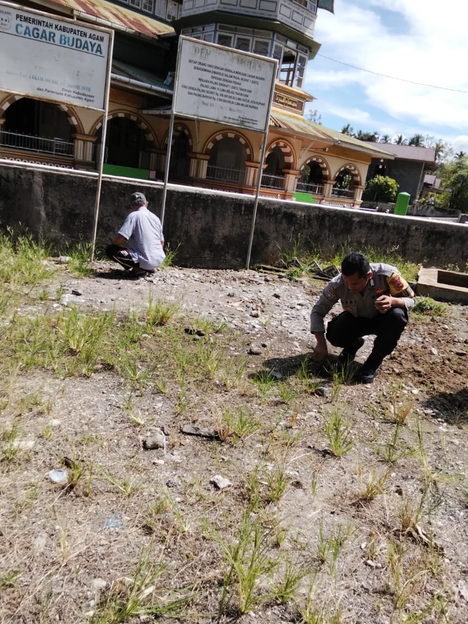 Polsek Tanjung Raya Hadirkan Semangat Kebersamaan, Bhabinkamtibmas Ikut Goro Jelang Idul Adha di&nbsp;Maninjau