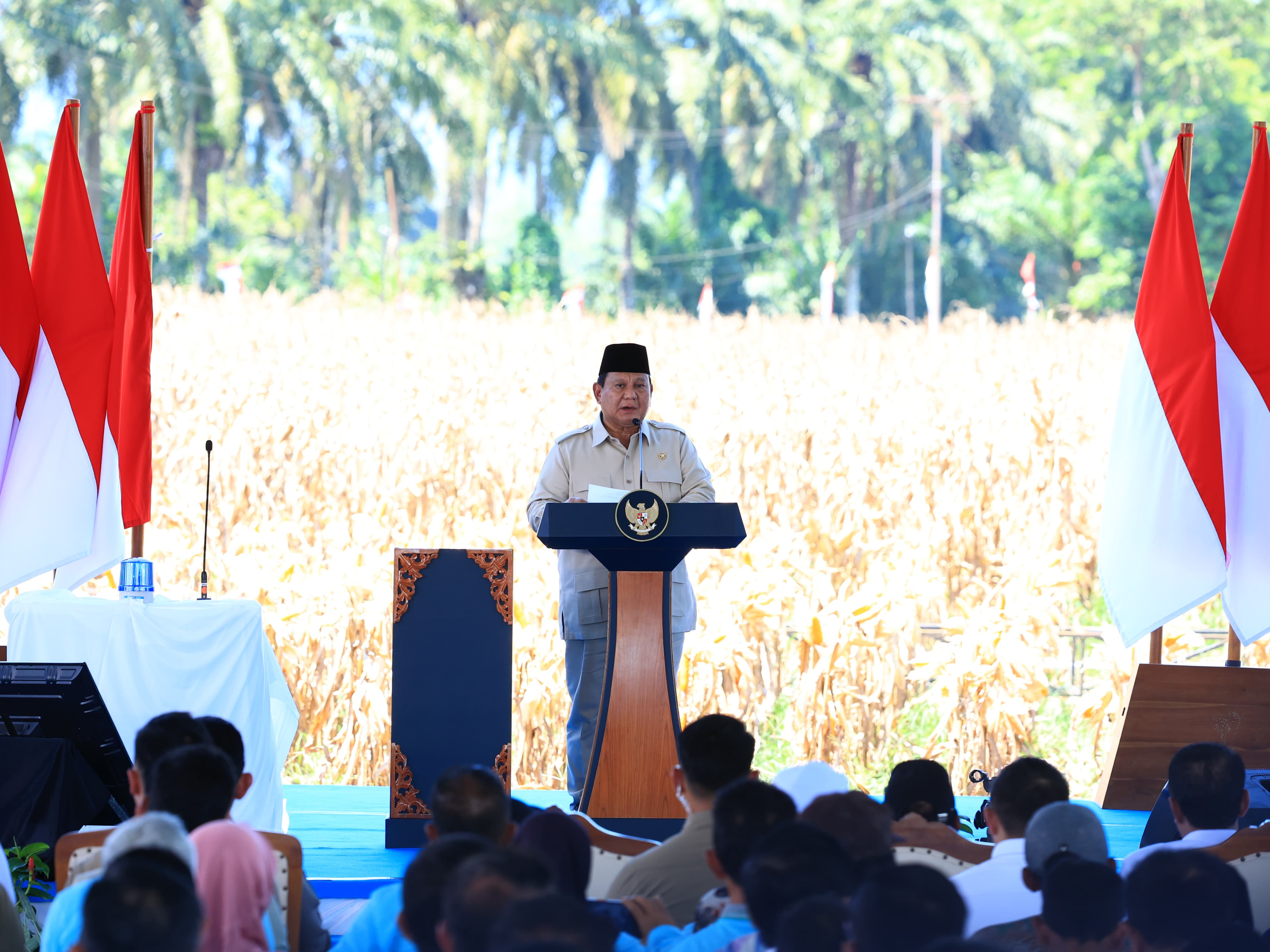 Panen Raya Serentak, Polri Ekspor Ribuan Ton Jagung dan Bangun 18 Gudang Penyimpanan