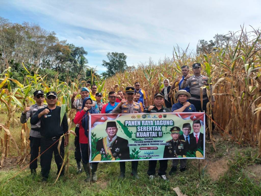Kapolsek Sijunjung Beserta Unsur Forkopimcam Laksanakan Panen Raya Jagung Serentak Kuartal&nbsp;II