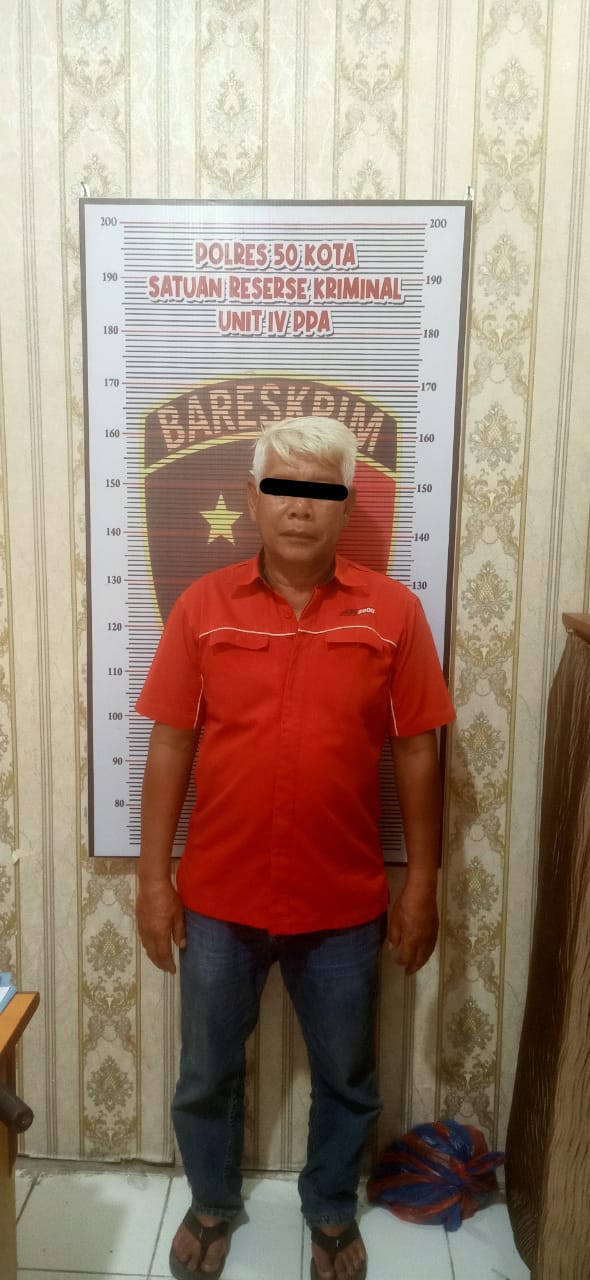 Polres 50 Kota Kembali Tangkap Tersangka Persetubuhan Anak Dibawah Umur