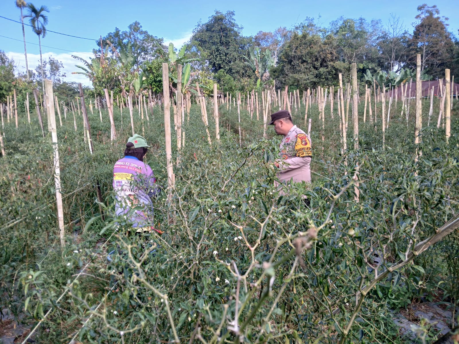 Bhabinkamtibmas Polresta Bukittinggi Dukung Program Asta Cita Presiden Dan Jaga Kamtibmas Melalui THTS