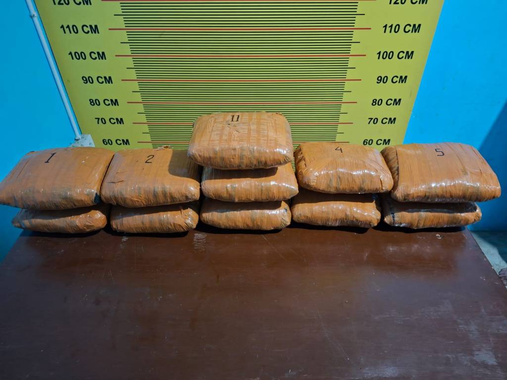 Tim Opsnal Satresnarkoba Polres Pasaman Tangkap Tersangka Penyalahguna Narkotika, Wujud Nyata Selamatkan Generasi&nbsp;Muda