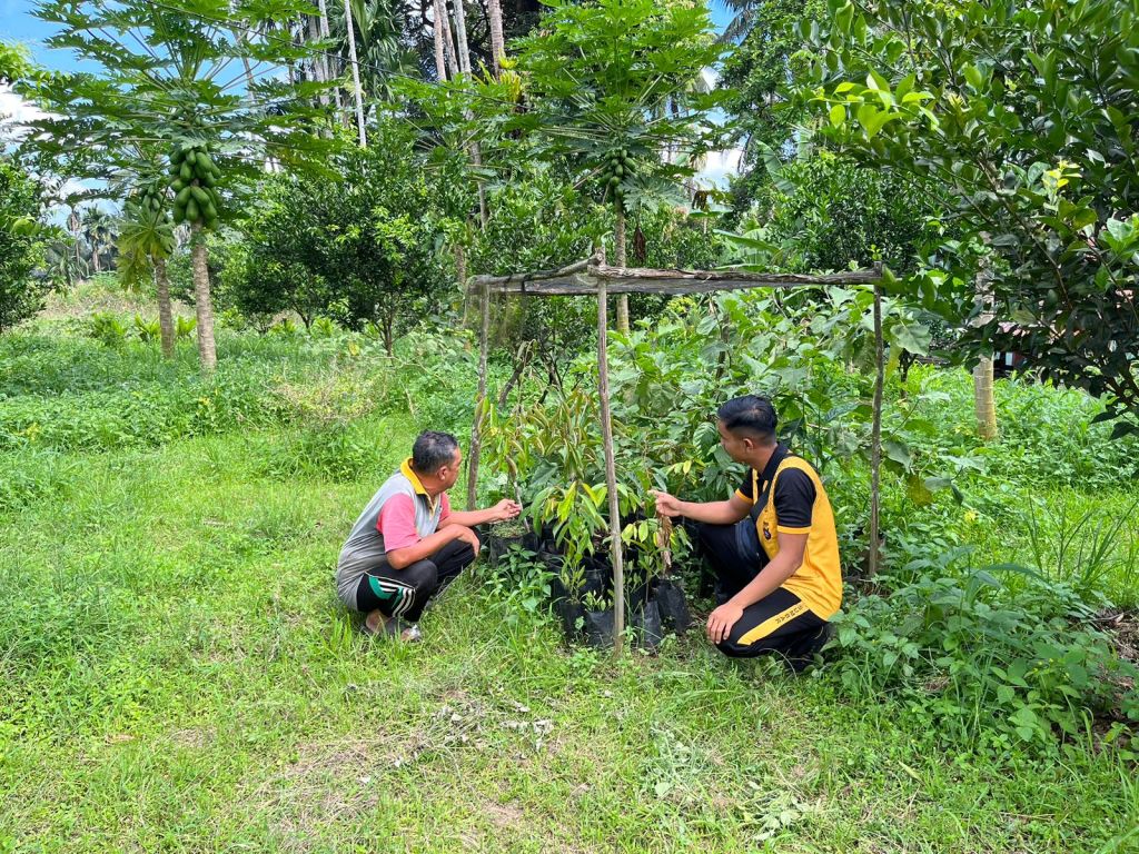 Bhabinkamtibmas Cek Lahan Pepaya dan Tumpang Sari Limau, Ajak Warga Manfaatkan Pekarangan untuk Ketahanan&nbsp;Pangan