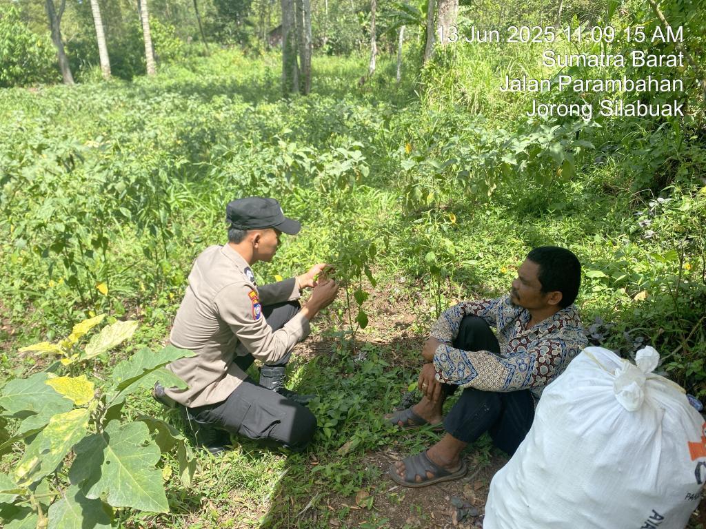 BERSAMA WUJUDKAN SWASEMBADA PANGAN POLSEK DAN BHABINKAMTIBMAS TERUS AJAK MANFAATKAN LAHAN KOSONG MENJADI LAHAN&nbsp;PRODUKTIF