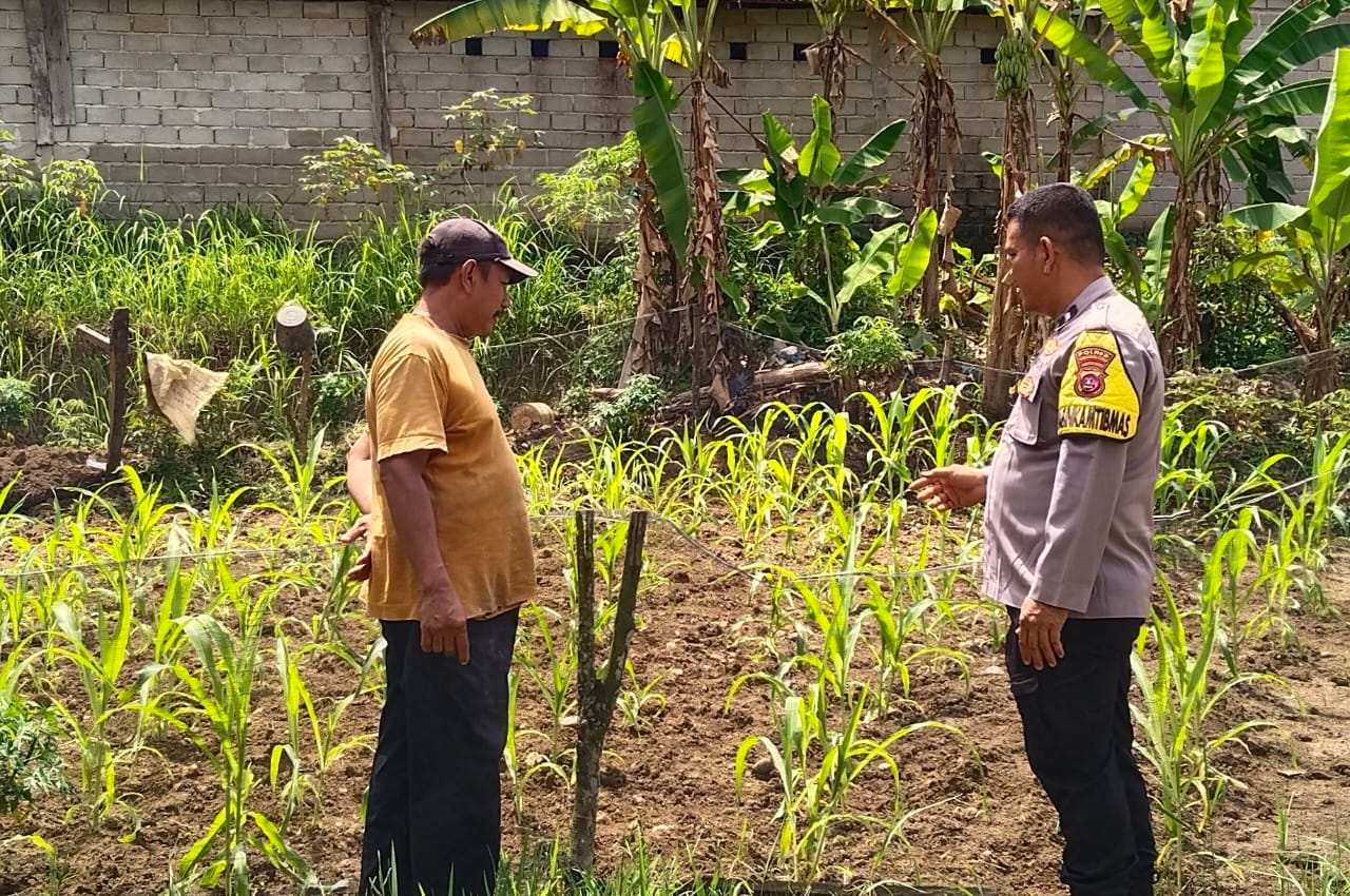 Ketahanan Pangan, Bhabinkamtibmas Ajak Warga Tanam Sayur di Pekarangan