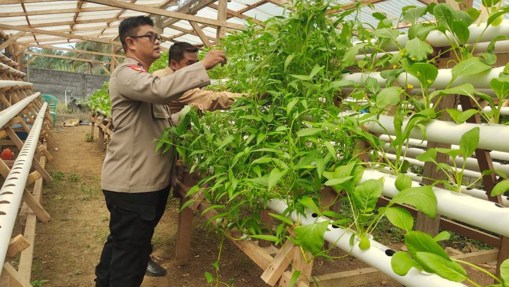 Bhabinkamtibmas Kunjungi Lokasi Hidroponik di Ranah Palabi, Dukung Asta Cita Menuju Indonesia Emas&nbsp;2045