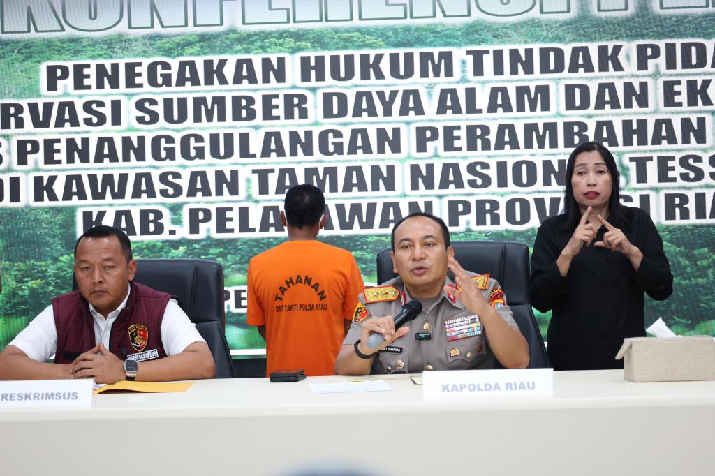 Polda Riau Tangkap Penjual Lahan di Hutan Tesso&nbsp;Nilo