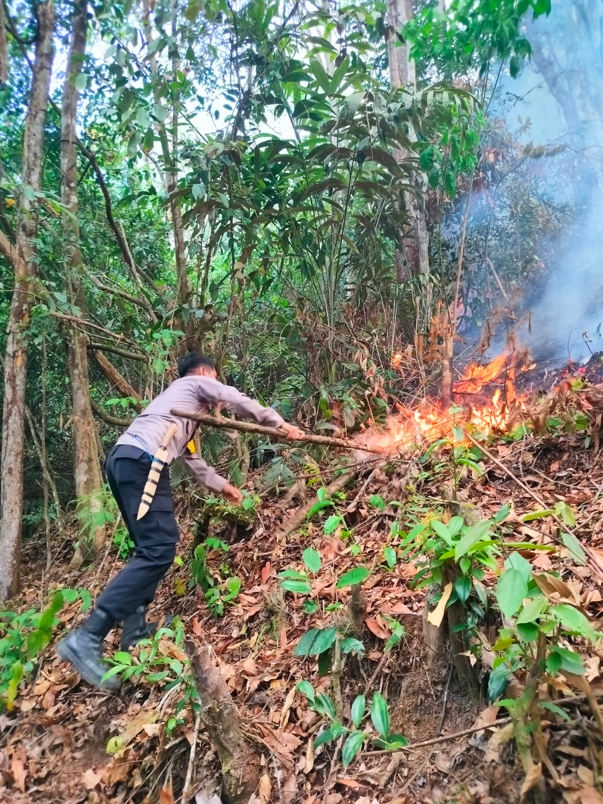 Bhabinkamtibmas Nagari Maek Turun Langsung Padamkan Kebakaran Lahan di Bukik Padang Macang