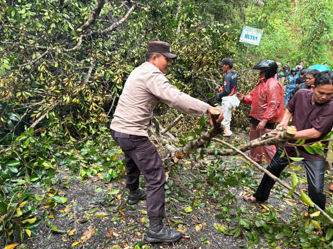 Personel Polres Sawahlunto Sigap Tanggapi Pohon Tumbang di Jalan Kelok Cabe