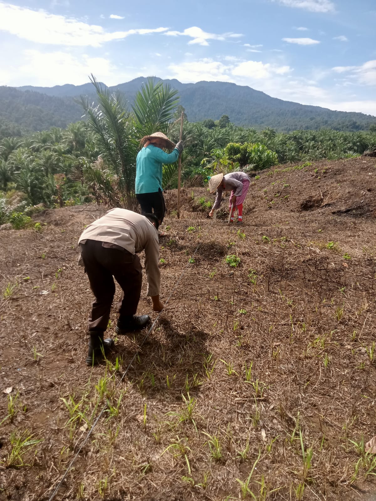 Bhabinkamtibmas Nagari Sitanang Ajak Warga Manfaatkan Lahan Kosong