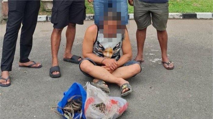 Seorang Pria Curi Kabel di Jalur Produksi PT Semen Padang, Polisi Cari Tahu Keterlibatan Pihak Lain