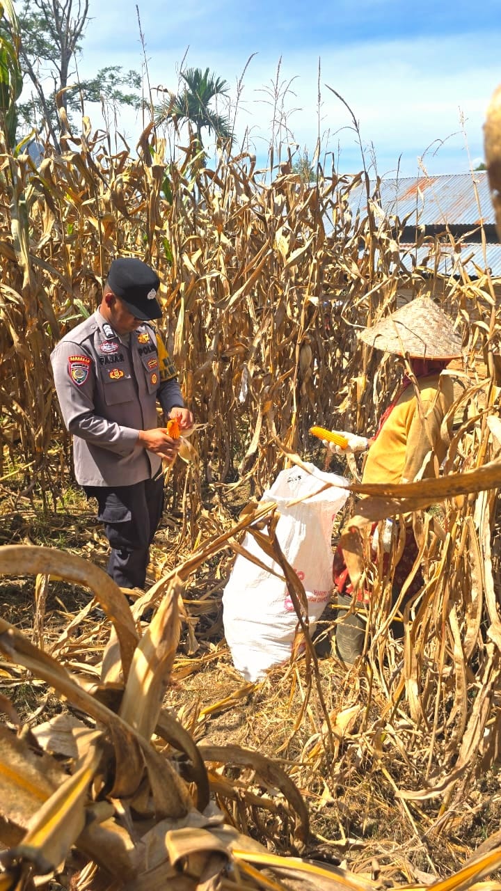 Bhabinkamtibmas Nagari Koto Tuo Brigpol Fajar Wigi&nbsp; Ferdana Laksanakan Program Asta Cita di Jorong Padang Rantang