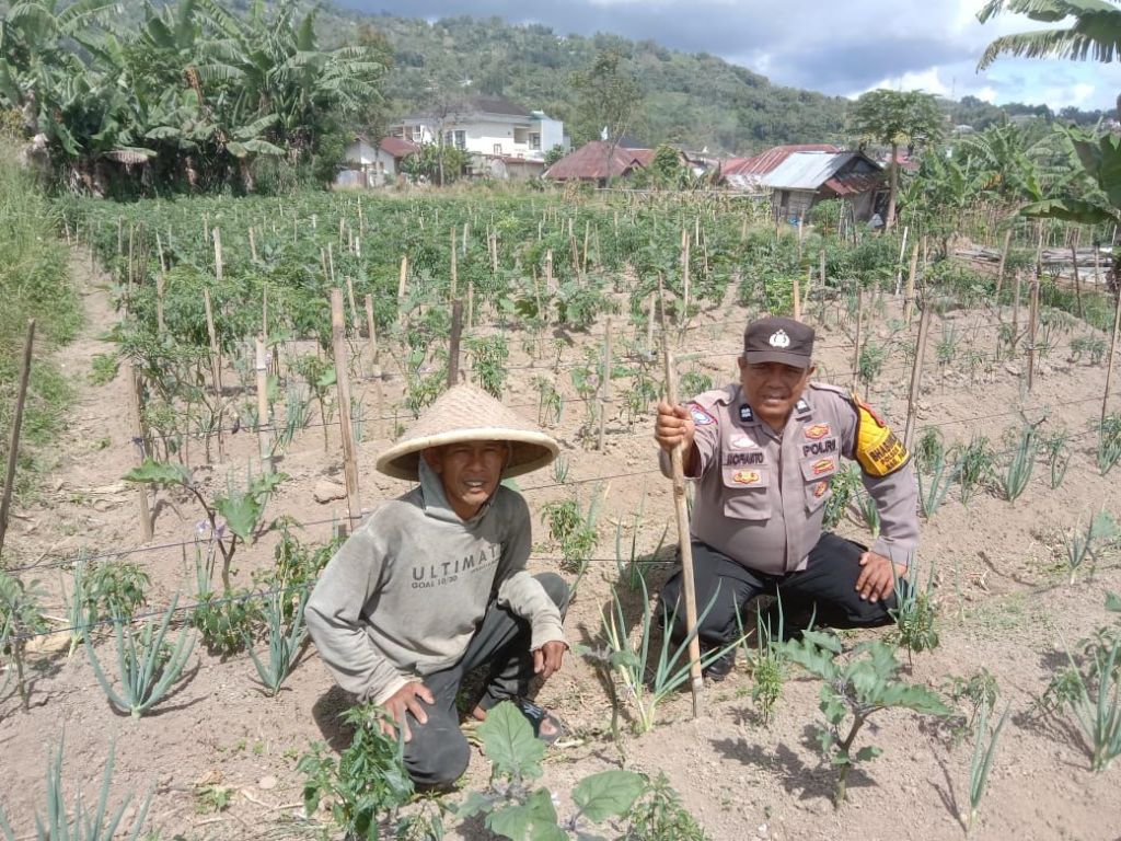 Melalui THTS Bhabinkamtibmas Polresta Bukittinggi Dukung Program Asta Cita Presiden&nbsp;RI