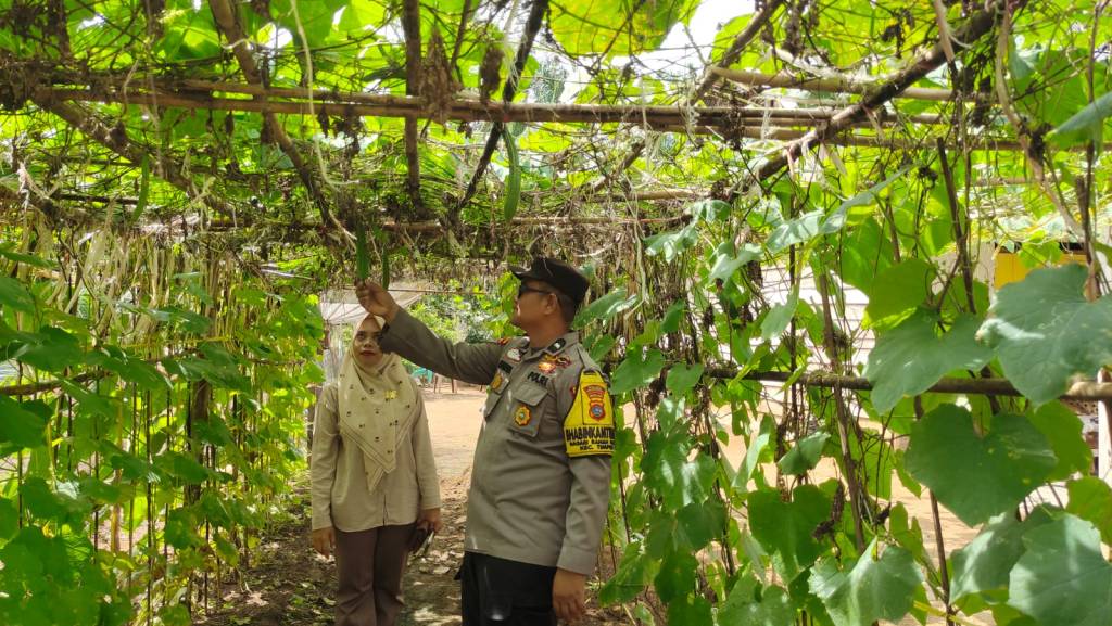Bentuk Nyata Warga Dukung Program Asta Cita, Bhabinkamtibmas Kunjungi Lokasi Ketahanan Pangan di Nagari Ranah&nbsp;Palabi
