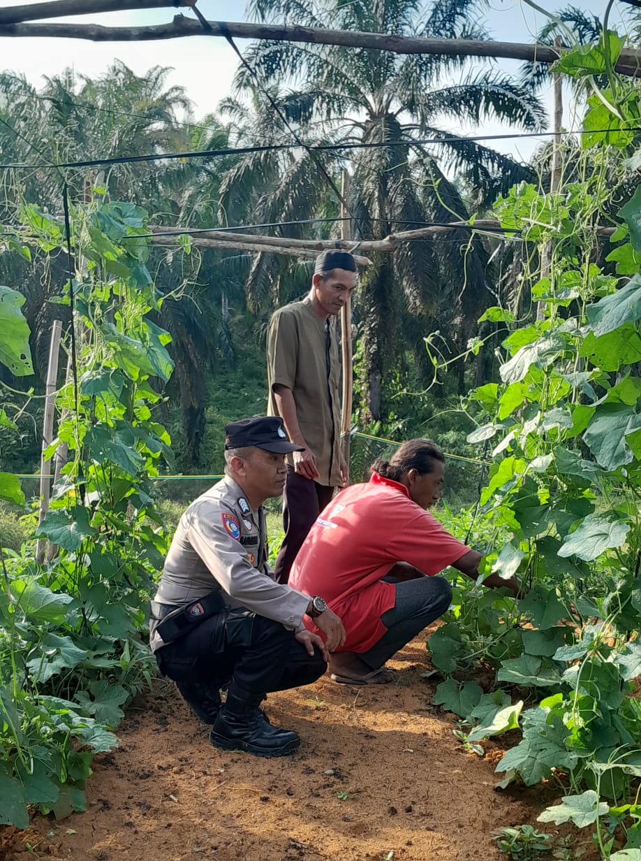 Dukung Ketahanan Pangan, Bhabinkamtibmas Ajak Warga Manfaatkan Pekarangan