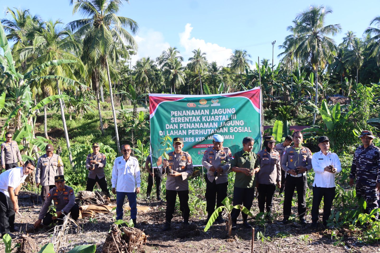 Polres Kepulauan Mentawai Dukung Program Swasembada Pangan Nasional melalui Penanaman Jagung Serentak Kuartal III