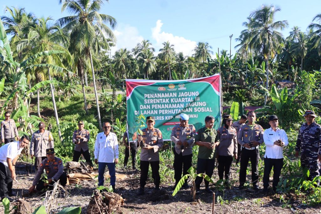 Polres Kepulauan Mentawai Dukung Program Swasembada Pangan Nasional melalui Penanaman Jagung Serentak Kuartal&nbsp;III