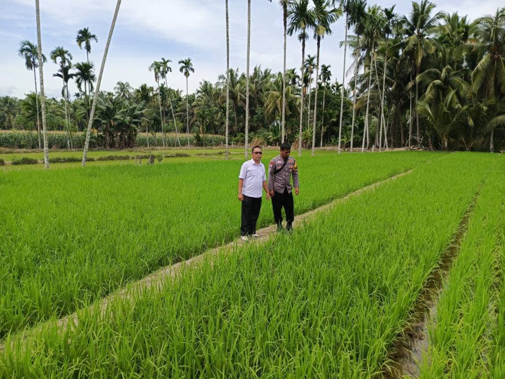 Bhabinkamtibmas Nagari Tanjung Betung Ajak Masyarakat Tabek Ateh Untuk&nbsp;Produktif
