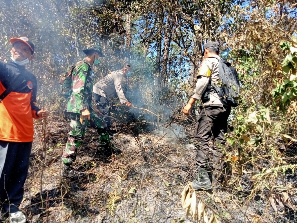 Polri dan Tim Gabungan Respon Cepat Padamkan Kebakaran Hutan di Bukit Tunggang Jorong&nbsp; Saruaso&nbsp;Timur