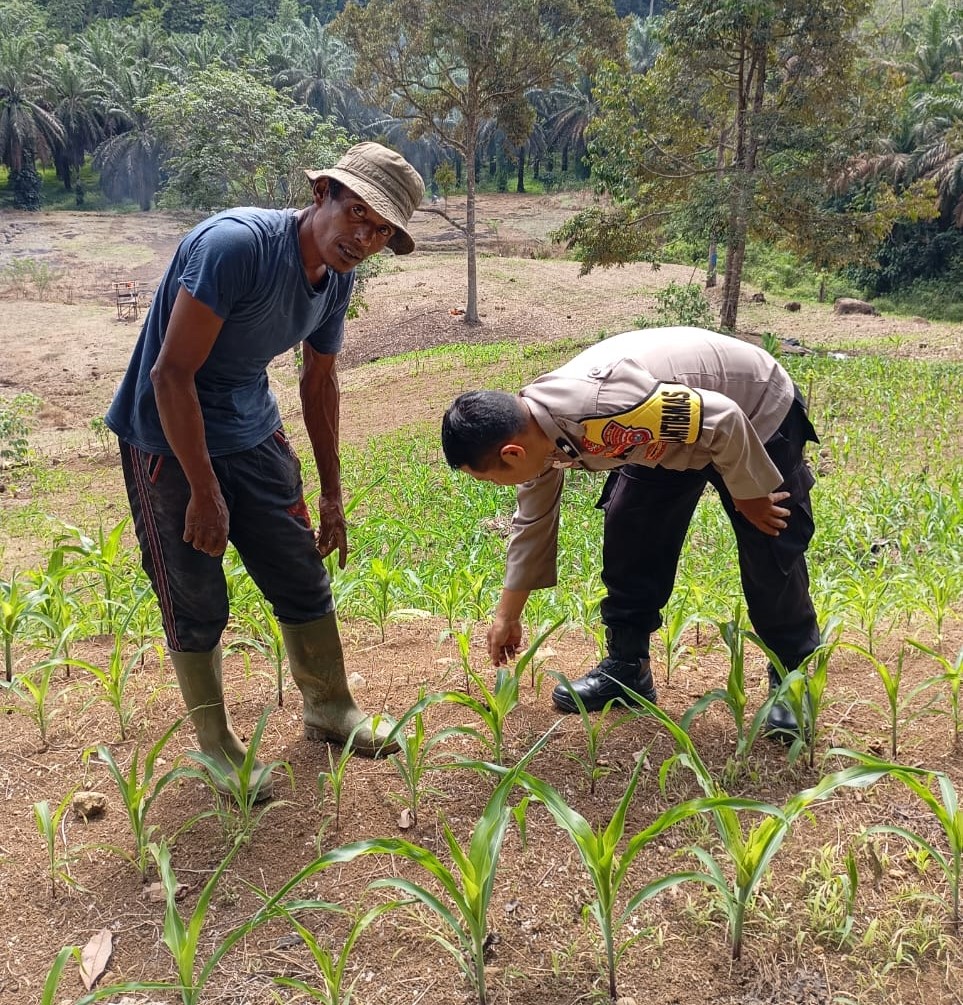Personel Bhabinkamtibmas Nagari Aia Gadang Dukung Program Asta Cita Presiden RI Bidang Ketahanan Pangan