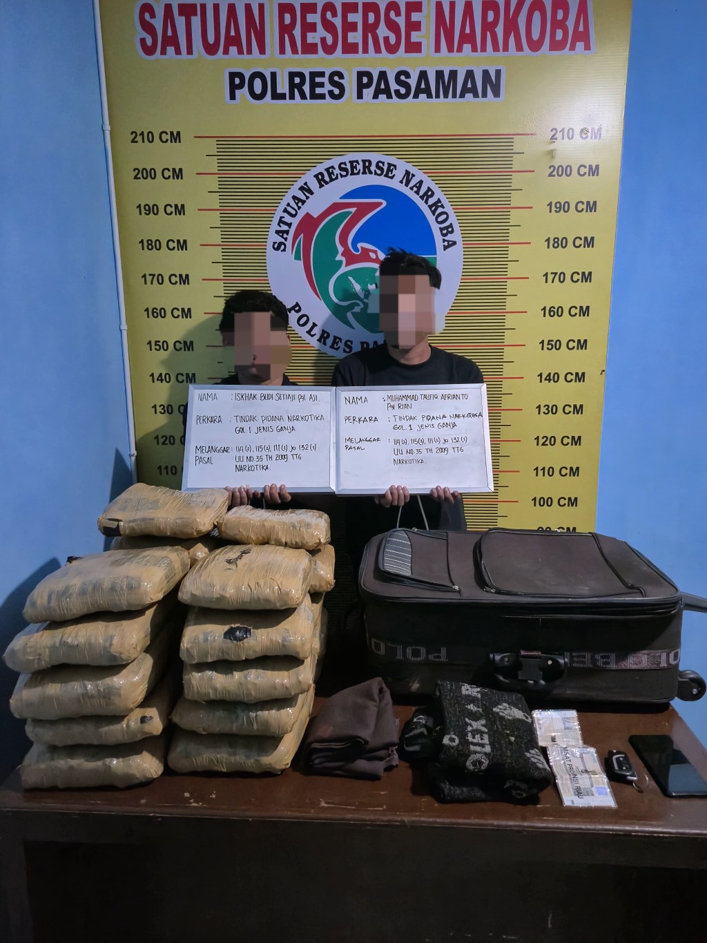 Satresnarkoba Polres Pasaman Amankan 21 Paket Besar Ganja dari Dua Orang&nbsp;Tersangka