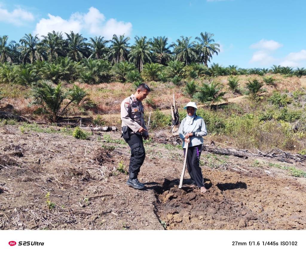 Bhabinkamtibmas Nagari Bonjol Ajak Warga Manfaatkan Lahan Kosong untuk Tanam&nbsp;Jagung