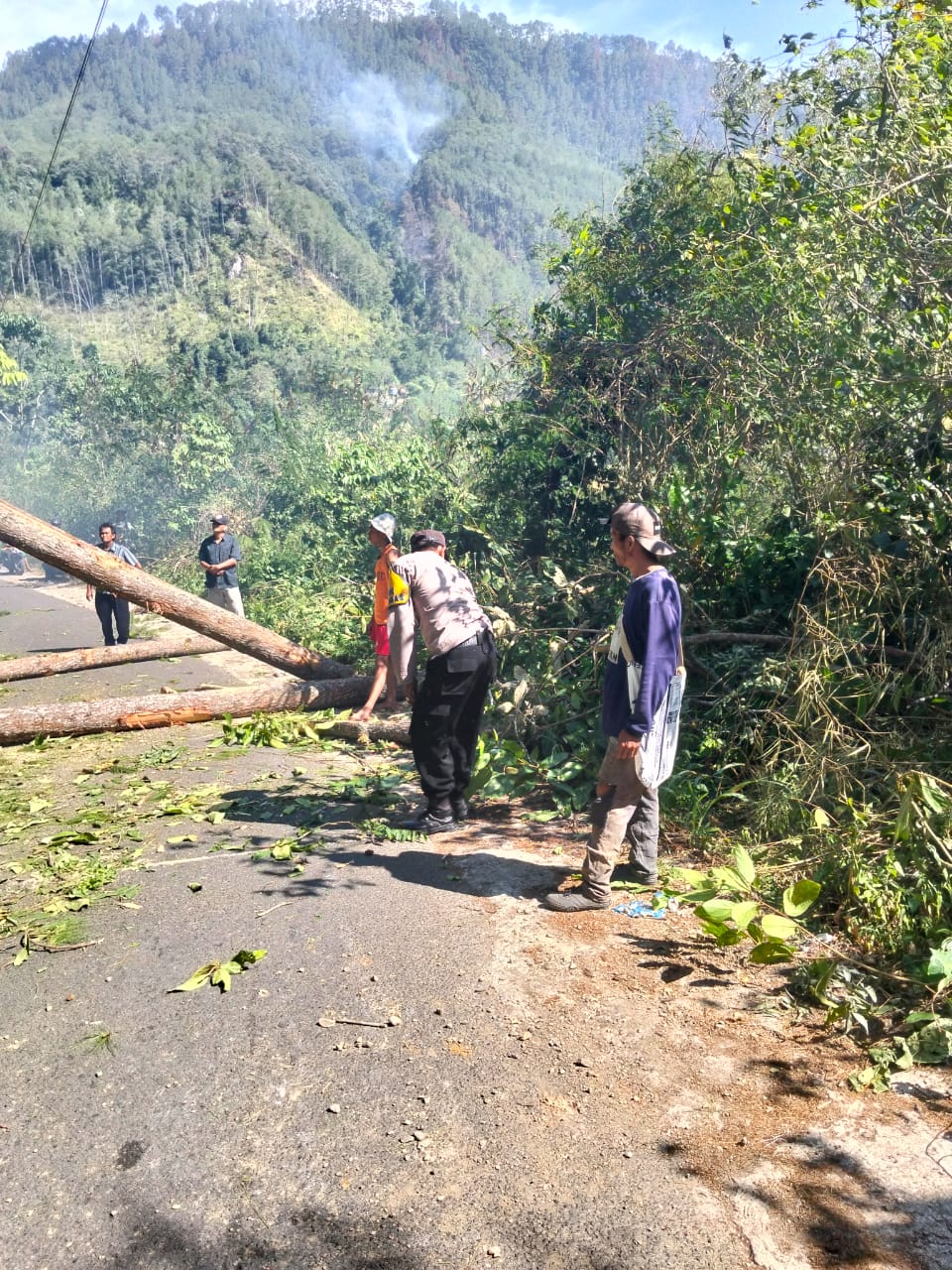 Bhabinkamtibmas Nagari Sungai Naniang dan Baruah Gunuang Laksanakan Pembersihan Pohon tumbang di Jalan Tan&nbsp;Malaka