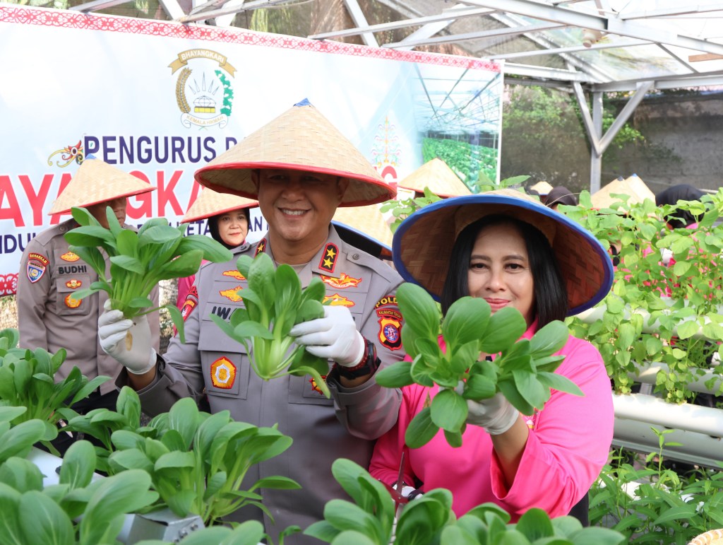 Dukung Ketahanan Pangan, Kapolda Kalteng Bersama Bhayangkari Panen Sayur di Lahan Pekarangan Pangan&nbsp;Lestari