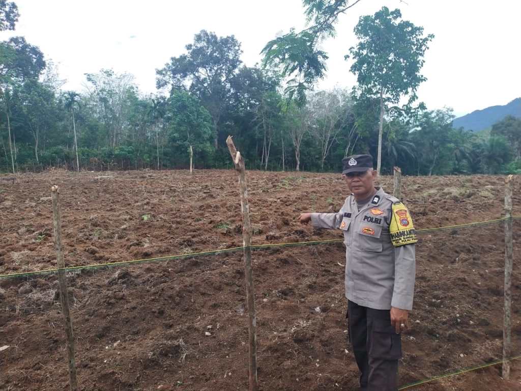 Polres Dharmasraya Cek Tanaman Jagung Warga Jelang Panen Kwartal&nbsp;III