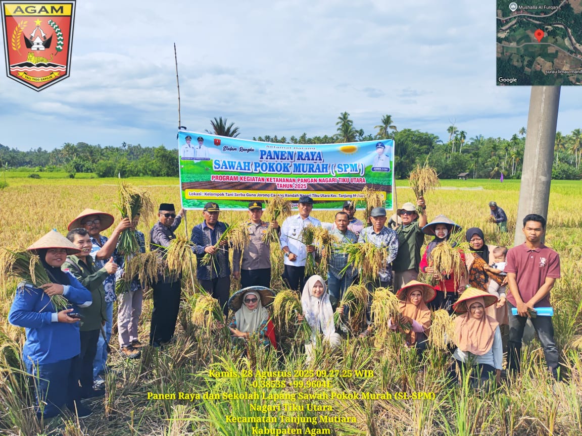 Kapolsek Tanjung Mutiara Hadiri Panen Perdana Sawah Pokok Murah
