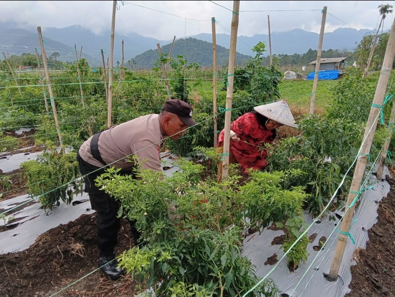 THTS Bhabinkamtibmas Polresta Bukittinggi Dukung Program Asta Cita Presiden&nbsp;RI