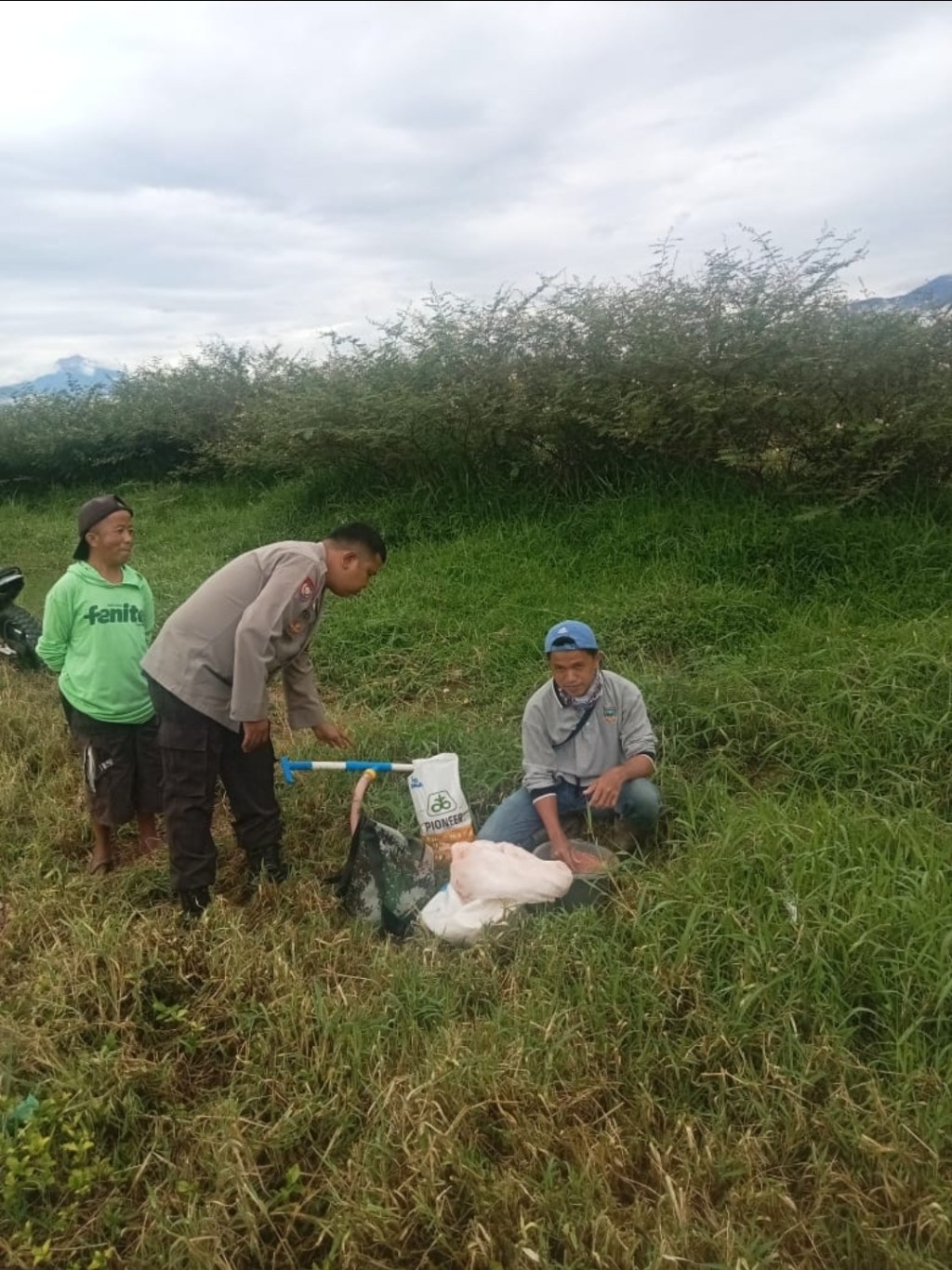 Bhabinkamtibmas Turun ke Ladang Jagung, Wujud Nyata Polisi Bersama&nbsp;Rakyat