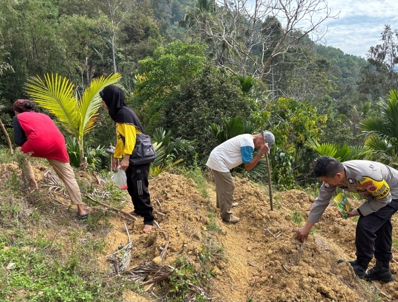 Dekat dengan Warga, Bhabinkamtibmas Silungkang Duo Tanam Jagung Bareng&nbsp;Masyarakat