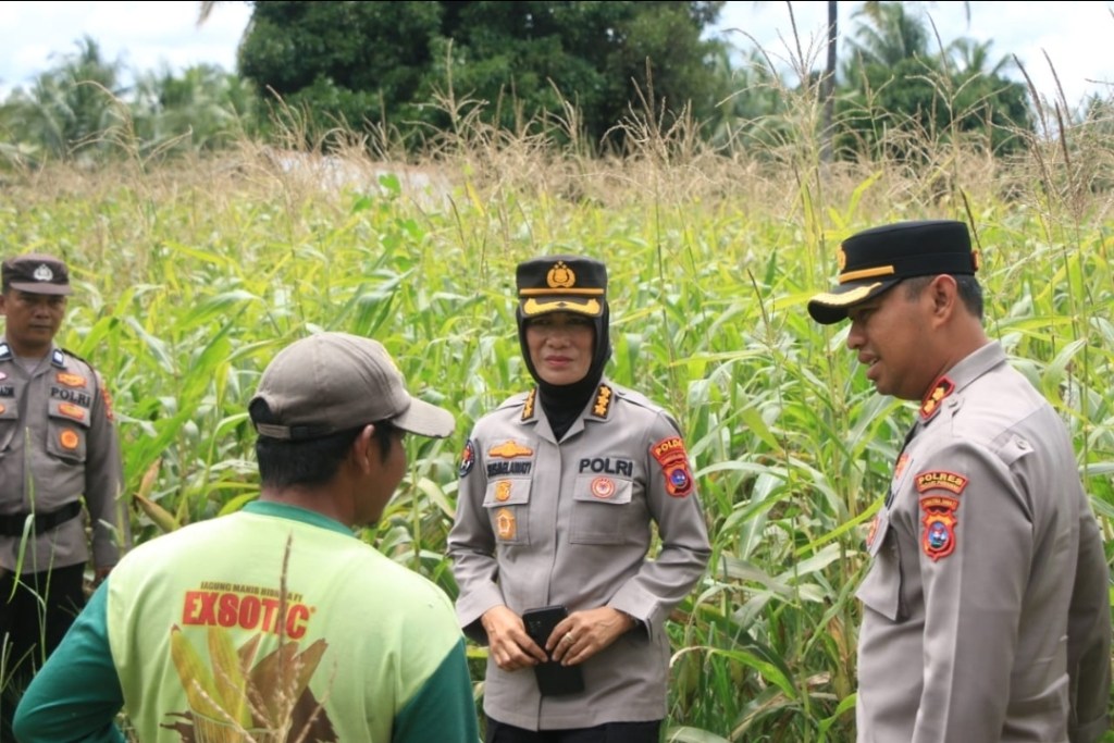 Wujud Komitmen Kapolda Sumbar, Polri Hadir Dampingi Produktivitas&nbsp;Pertanian