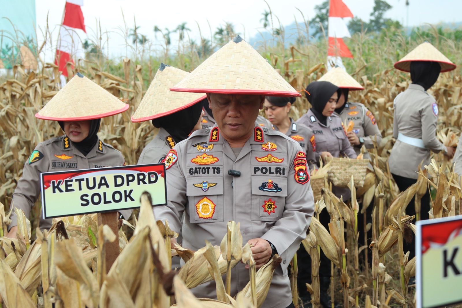 Panen Raya Jagung Serentak kuartal III di Sumbar, Kapolda: Perkuat Ketahanan Pangan, Dorong Ekonomi Rakyat