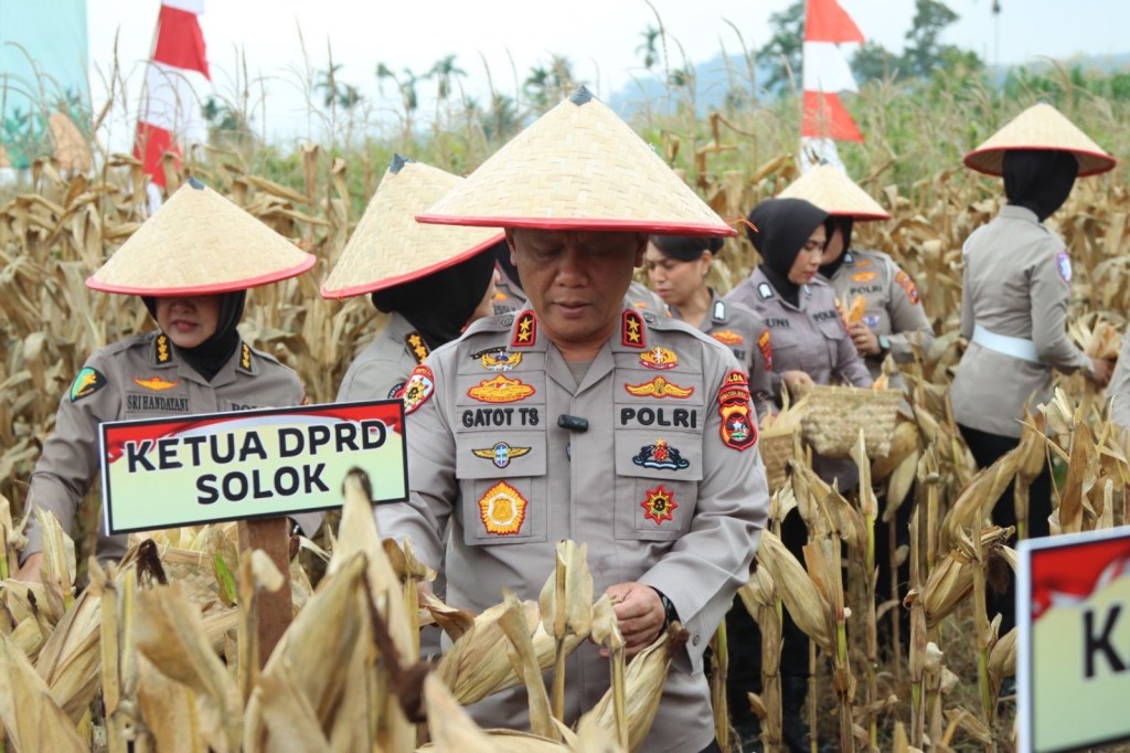 Panen Raya Jagung Serentak kuartal III di Sumbar, Kapolda: Perkuat Ketahanan Pangan, Dorong Ekonomi&nbsp;Rakyat