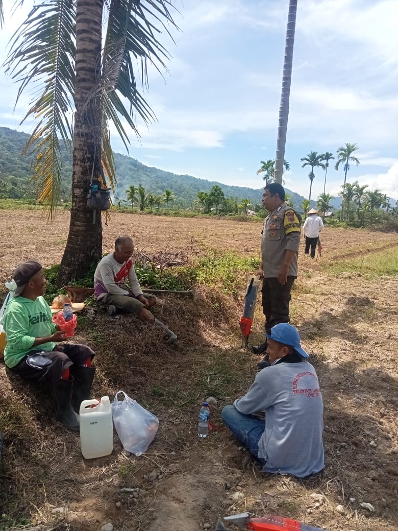 Dukung Ketahanan Pangan, Bhabinkamtibmas Polsek KPGD Sosialisasi dan Turun ke Lahan&nbsp;Jagung